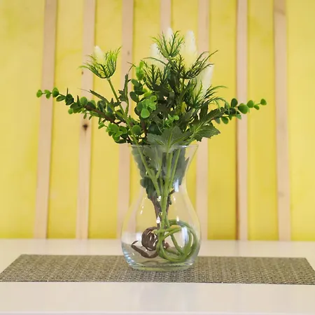 Iris Apartamento Vrnjačka Banja