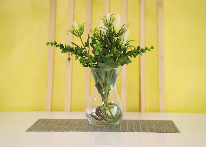 Iris Apartmán Vrnjačka Banja